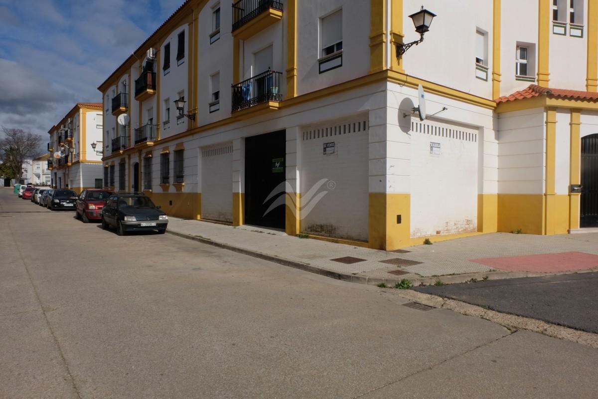 Imagen 1 / 6