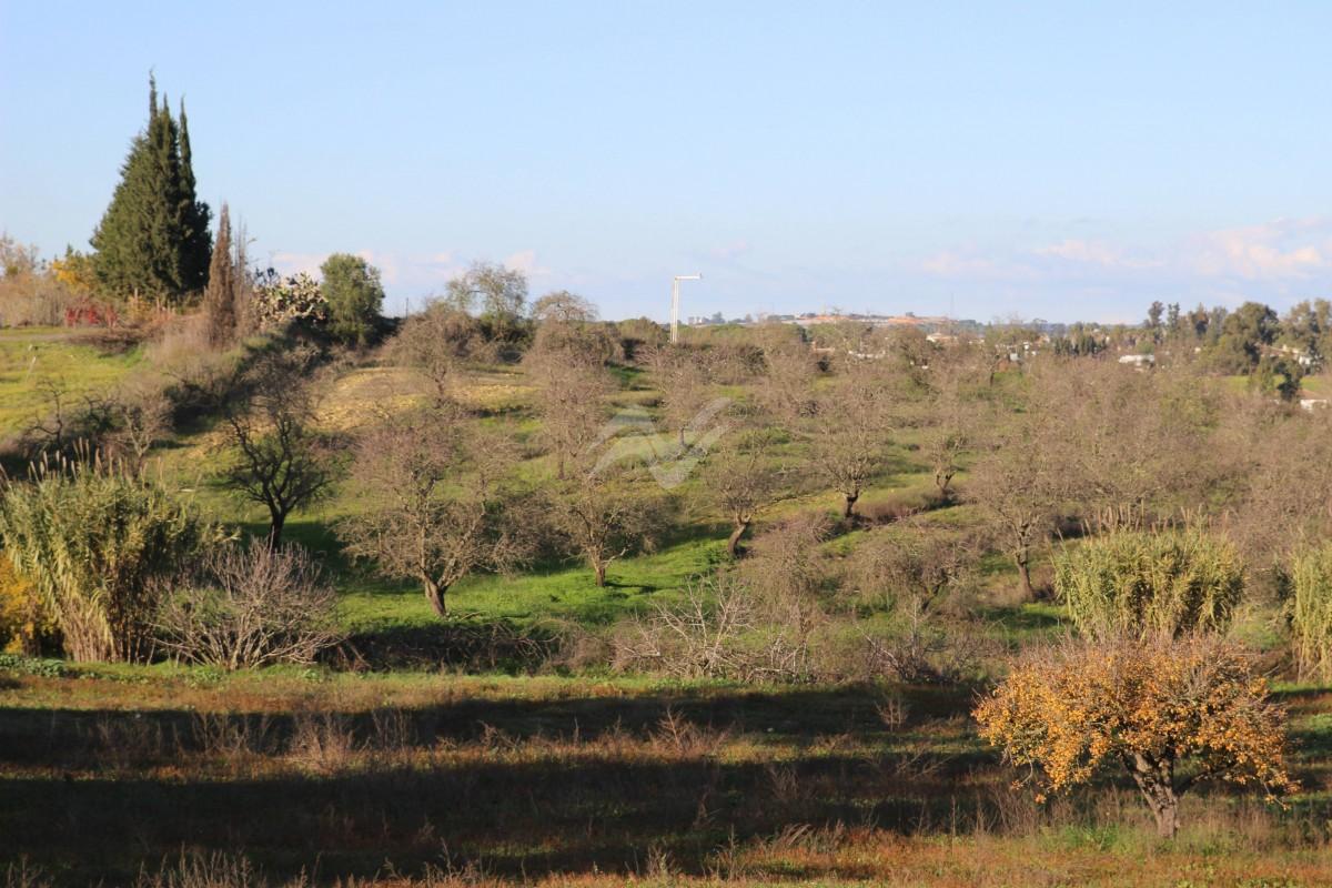 Imagen 2 / 7